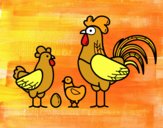 Familia gallina