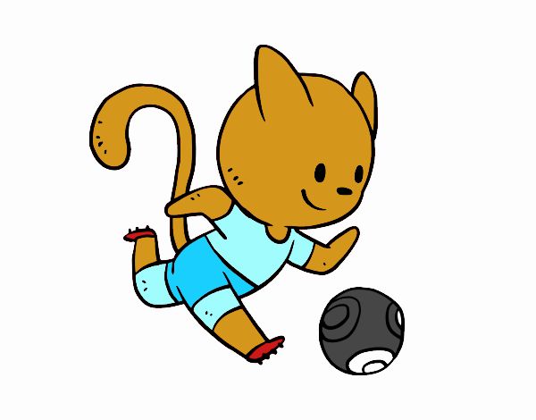 Gato jugando a fútbol