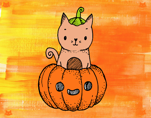 Un gatito de Halloween