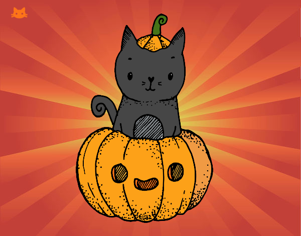 Un gatito de Halloween