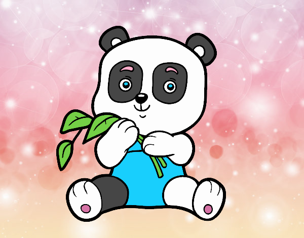 Un oso panda