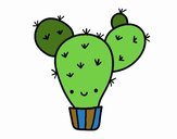 Cactus nopal