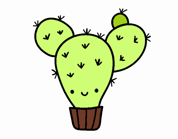 Cactus nopal