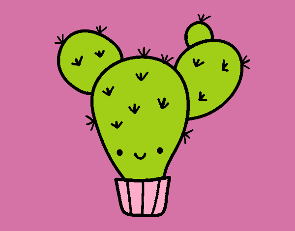 Cactus nopal