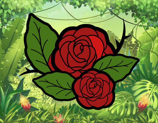 Dos rosas