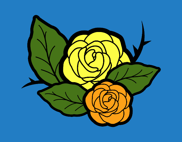 Dos rosas