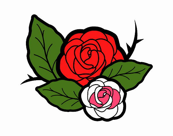 Dos rosas