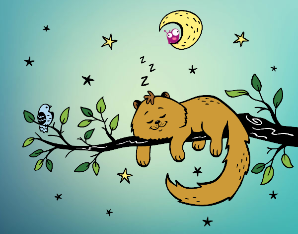 El gato y la luna