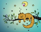 El gato y la luna