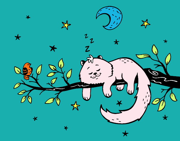 El gato y la luna