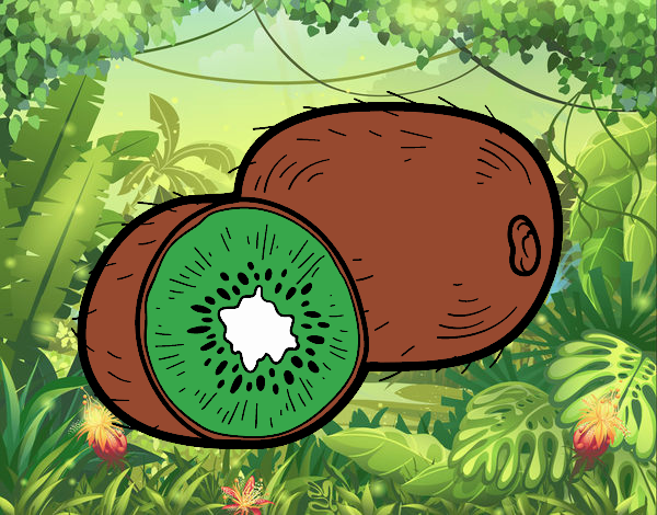 El kiwi