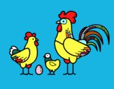 Familia gallina