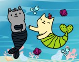 Gatos sirena