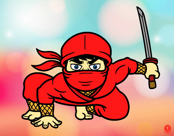 El ninja PRO