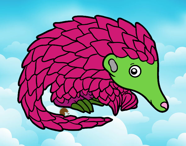 Pangolin