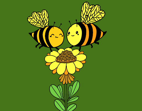 Pareja de abejas