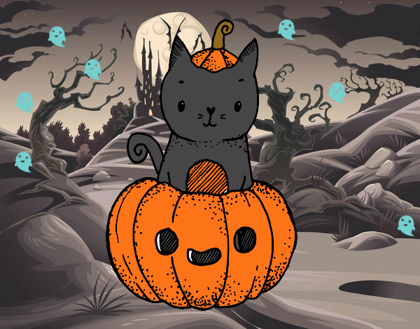 gato hallowen xd