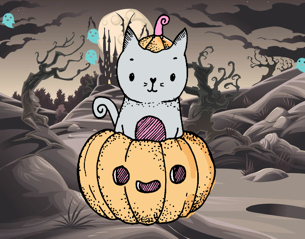 Un gatito de Halloween