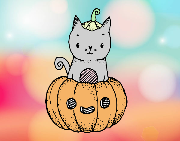 Un gatito de Halloween