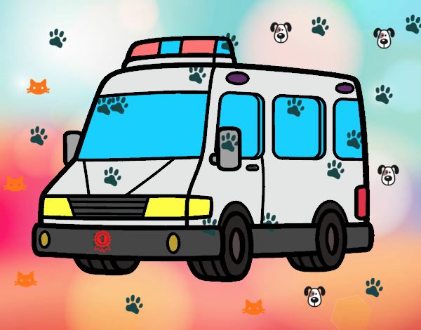 la ambulancia para perros y gatos