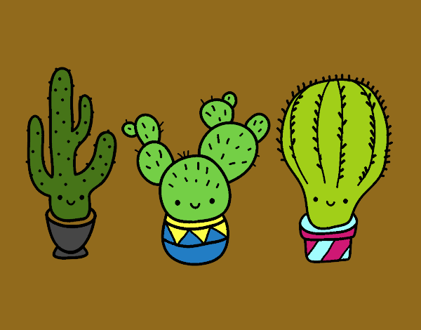 3 mini cactus