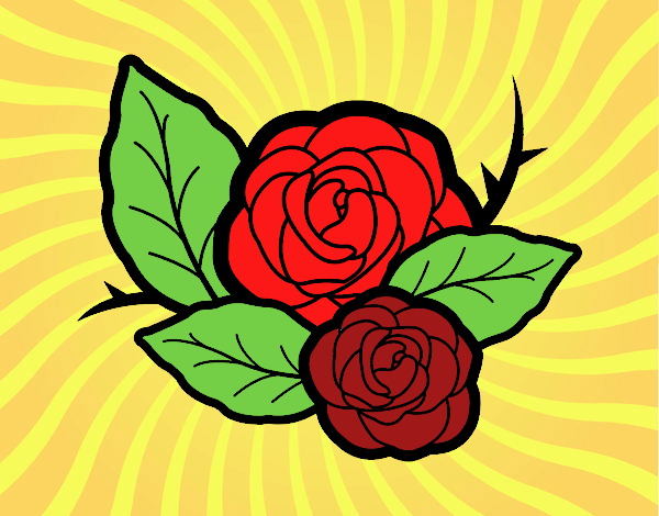 Dos rosas