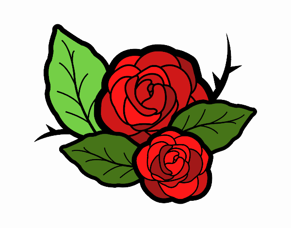 Dos rosas