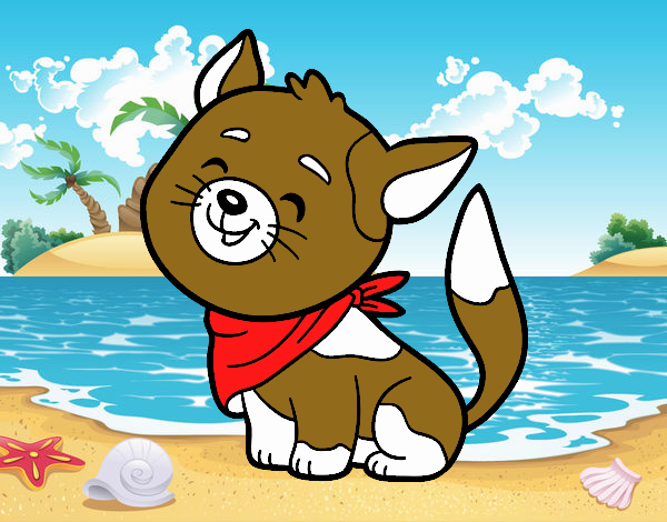 Gatito en la playa