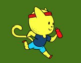 Gato runner