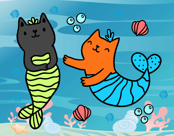 gatos sirenas 🐱🧜‍♀️