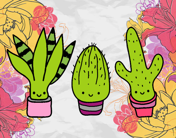 Los cactus!!! mini cutes