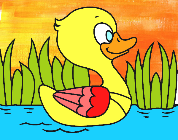 Patito de río