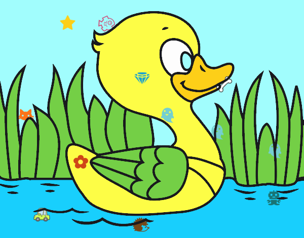 Patito de río