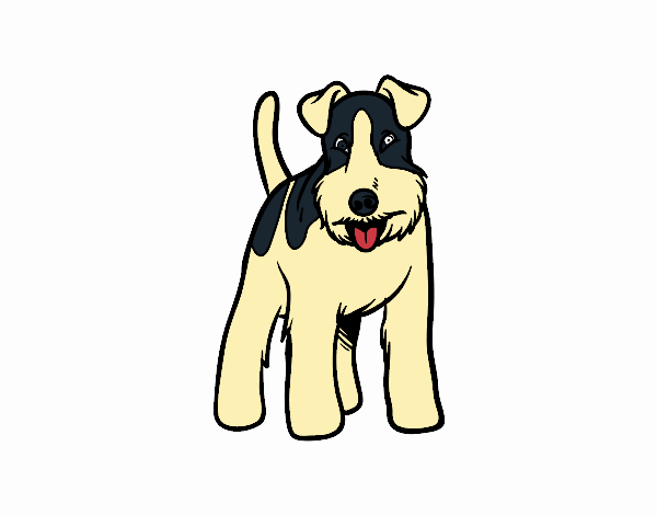 Perro Fox terrier