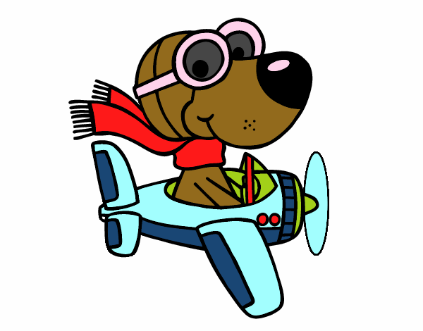 Perro piloto