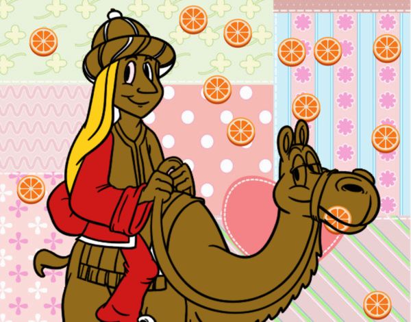 Rey Melchor en camello