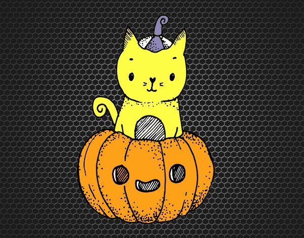 Un gatito de Halloween