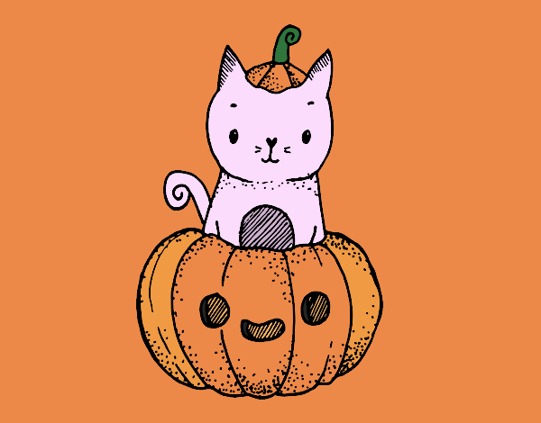 Un gatito de Halloween