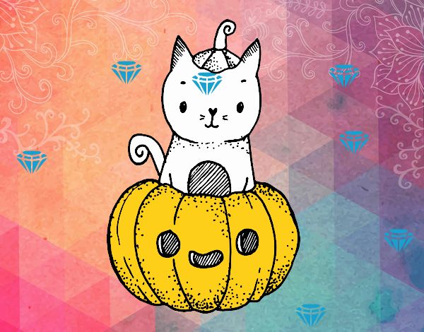 Un gatito de Halloween