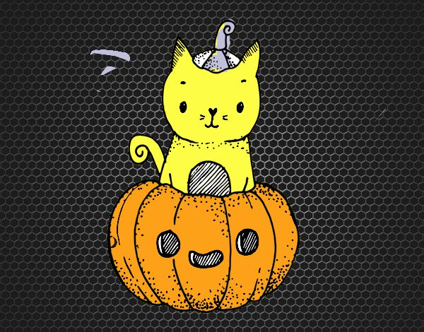 Un gatito de Halloween