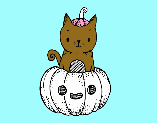 Un gatito de Halloween