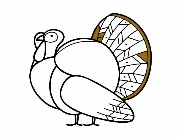 Un pavo