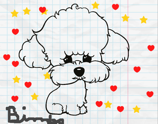 Cachorro de poodle