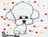 Cachorro de poodle