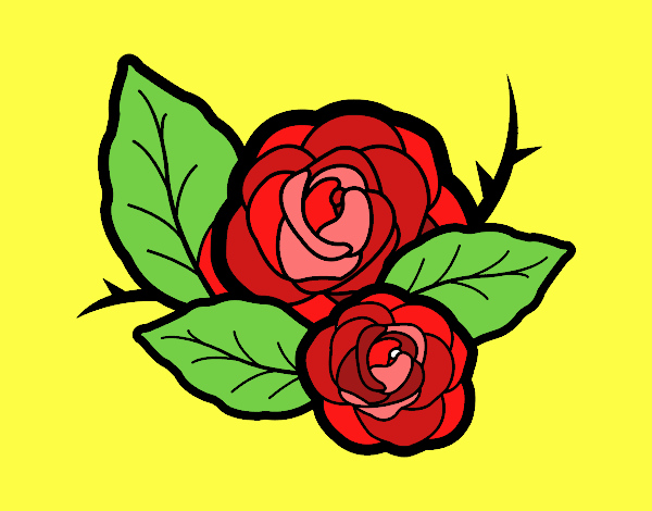 Dos rosas