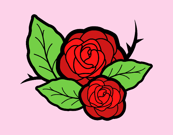 Dos rosas