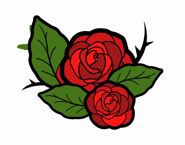 Dos rosas