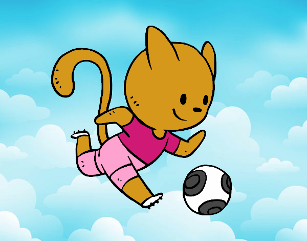 Gato jugando a fútbol