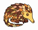 Pangolin