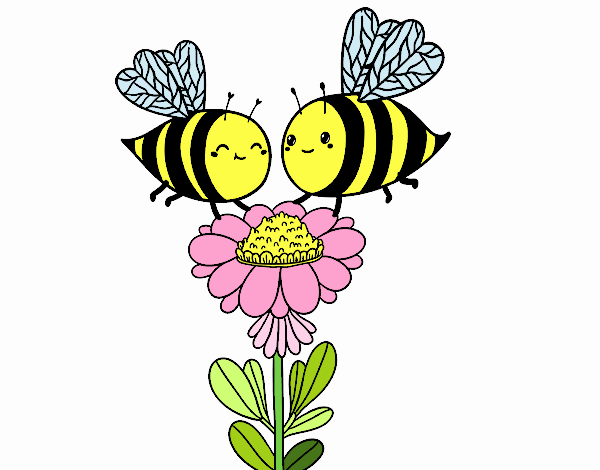 Pareja de abejas